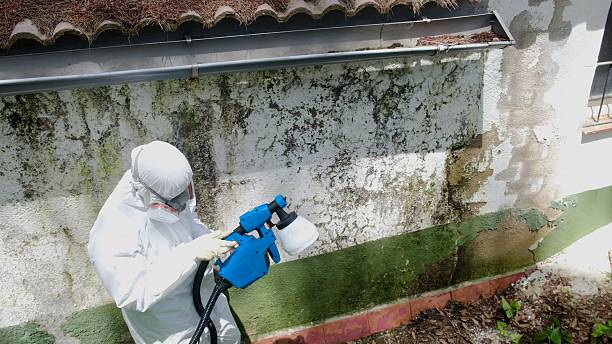 Top rated local Commercial Mold Remediation specialists in Flintstone, MD
